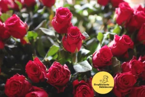 Rosas Bonitas e Saudáveis 5 Dicas Infalíveis para um Jardim de Encantar