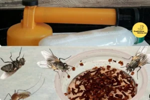 O Segredo Caseiro IncrÃvel Para Se Livrar dos Pernilongos de Uma Vez Por Todas!