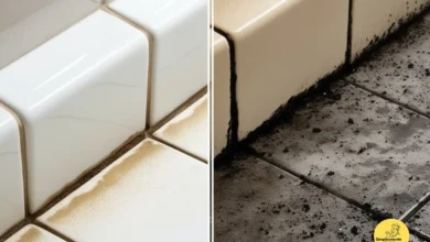 Como Deixar os Rejuntes dos Azulejos Como Novos com um Truque Simples e Barato!