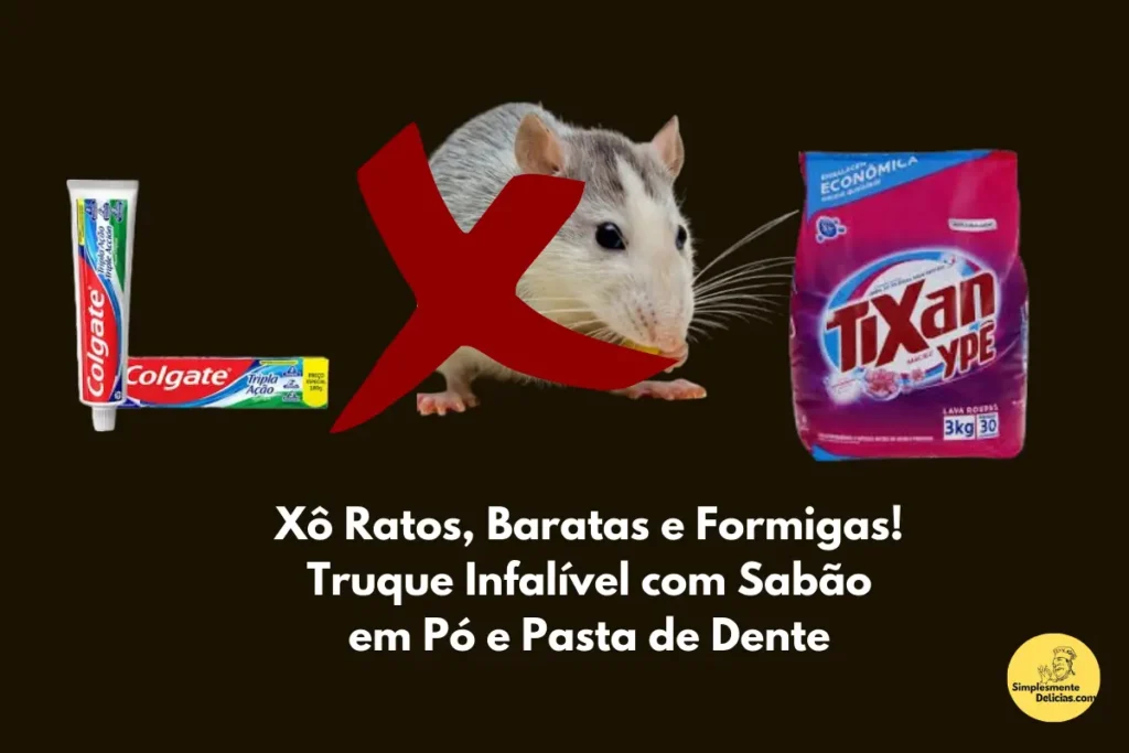 Xô Ratos, Baratas e Formigas! Truque Infalível com Sabão em Pó e Pasta de Dente Xô Ratos, Baratas e Formigas! Truque Infalível com Sabão em Pó e Pasta de Dente